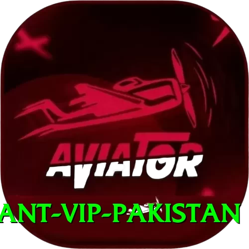 basant VIP Pakistan - 2