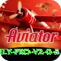 N999 Money Pro v2.0.5